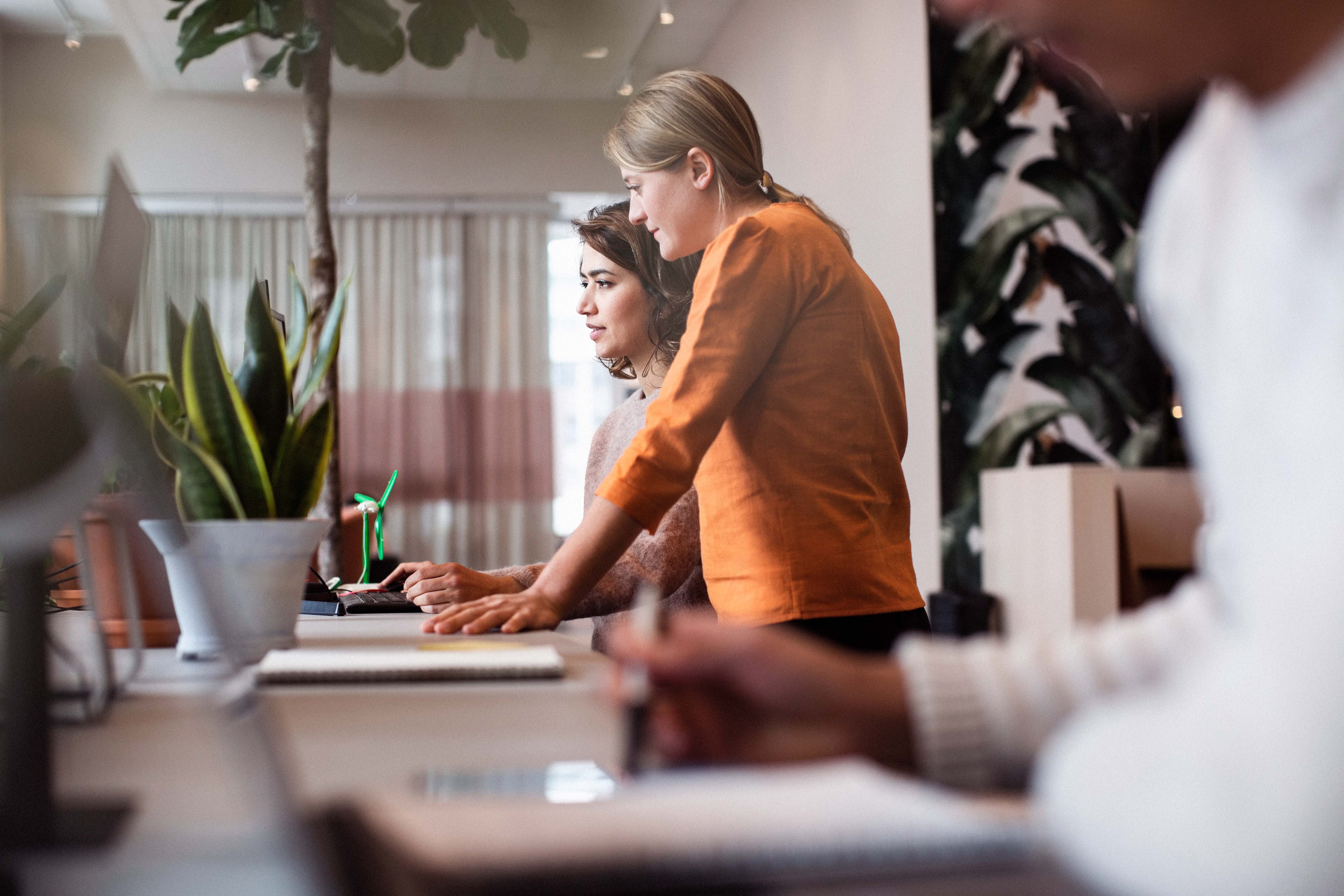 Two people working together, looking at a laptop screen