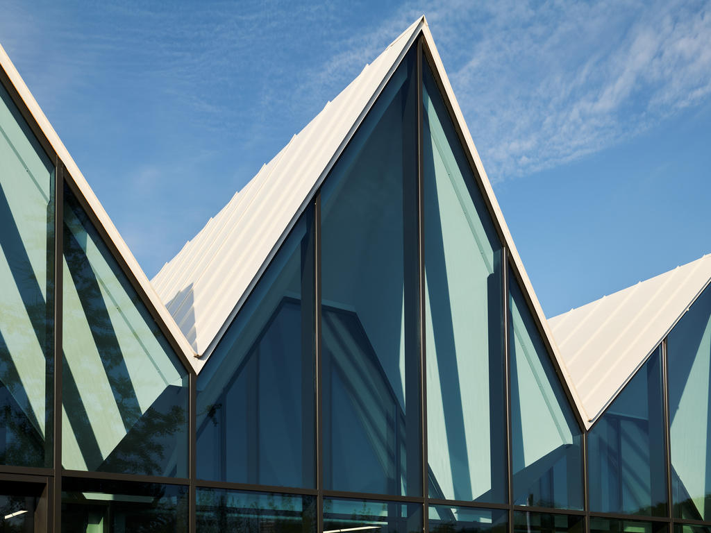 VM Zinc roof